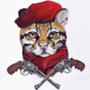 Meet your Posher, Rob